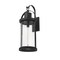 Z-Lite Roundhouse 1 Light Outdoor Wall Sconce, Black And Clear Seedy 569XL-BK - alternate 4